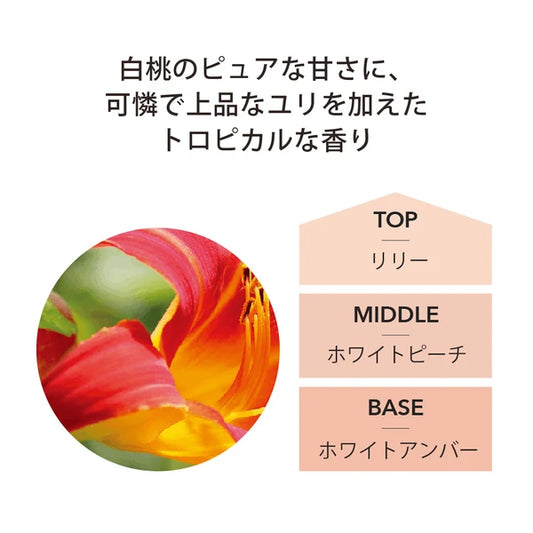 ランプフレグランス ホワイトピーチ&リリー (500ml)