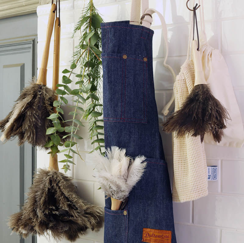 フェザーダスター ミニ