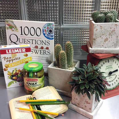 ソリッド プランター キューブ S　プレーン