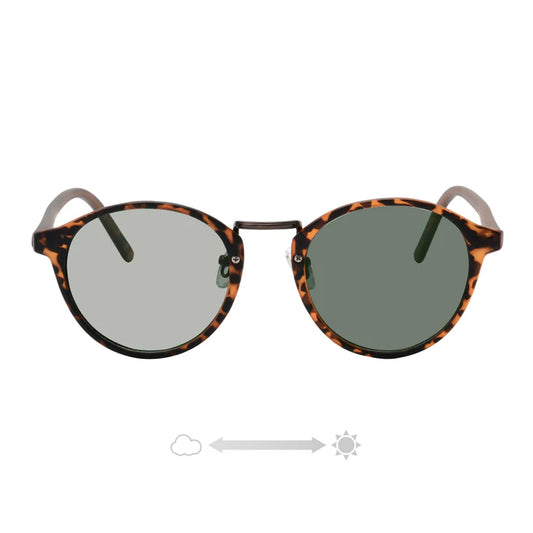 GIG2854-122PHMDEMI/LGR （調光・偏光）