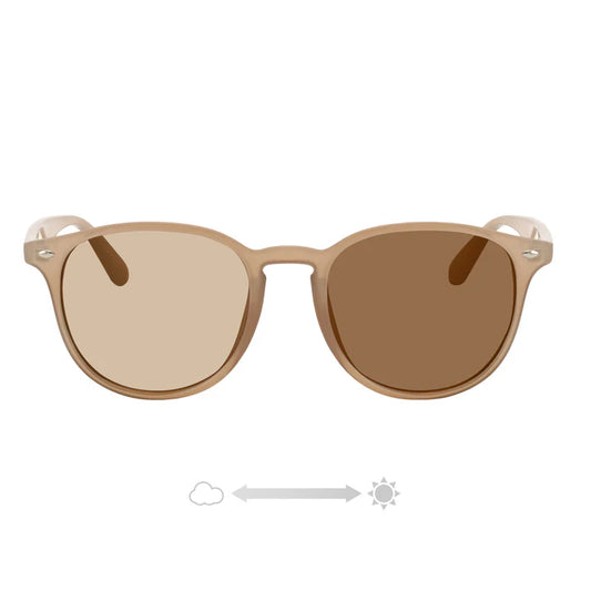 GIG2930-35PHCLBE/LBR（調光・偏光）