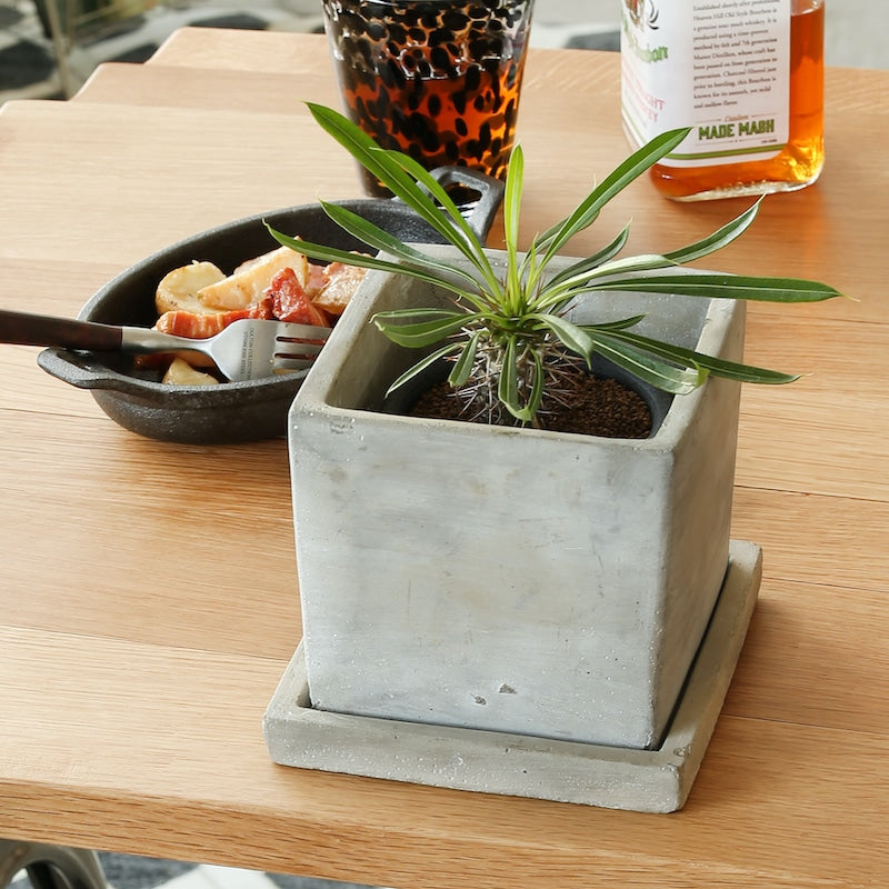 ソリッド プランター キューブ L　プレーン