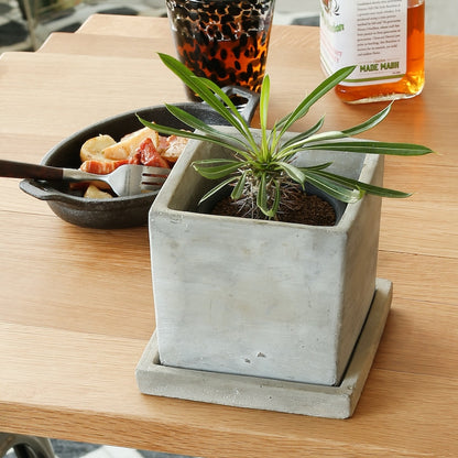 ソリッド プランター キューブ L　プレーン