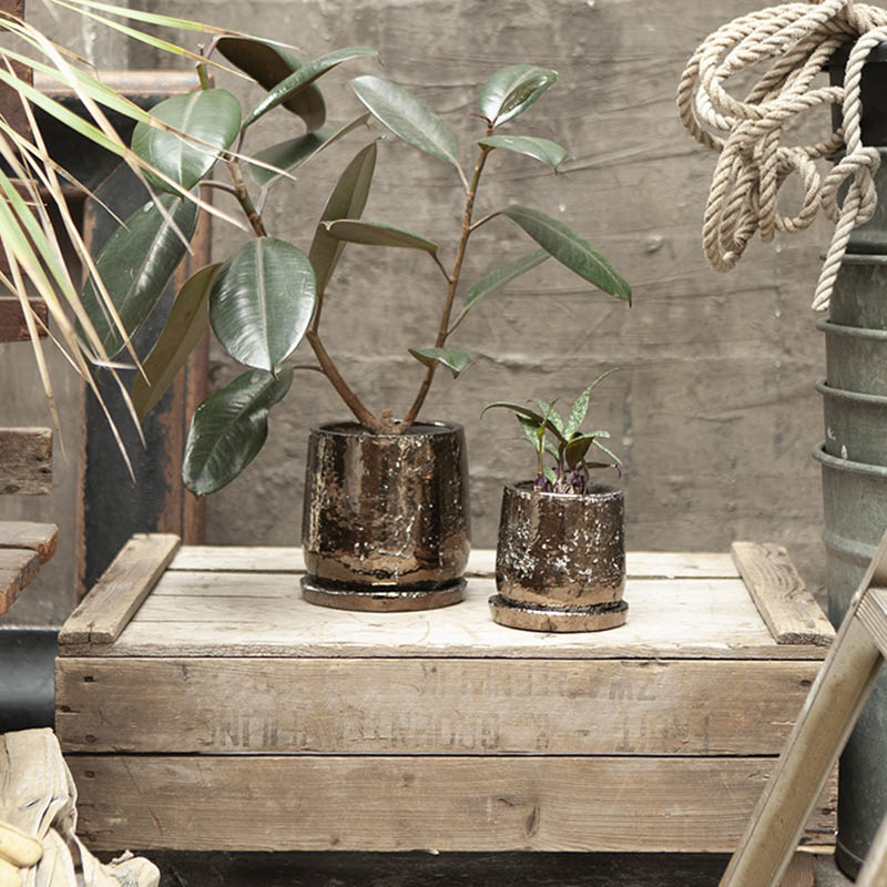 ラウンドポットブロンズS BZ