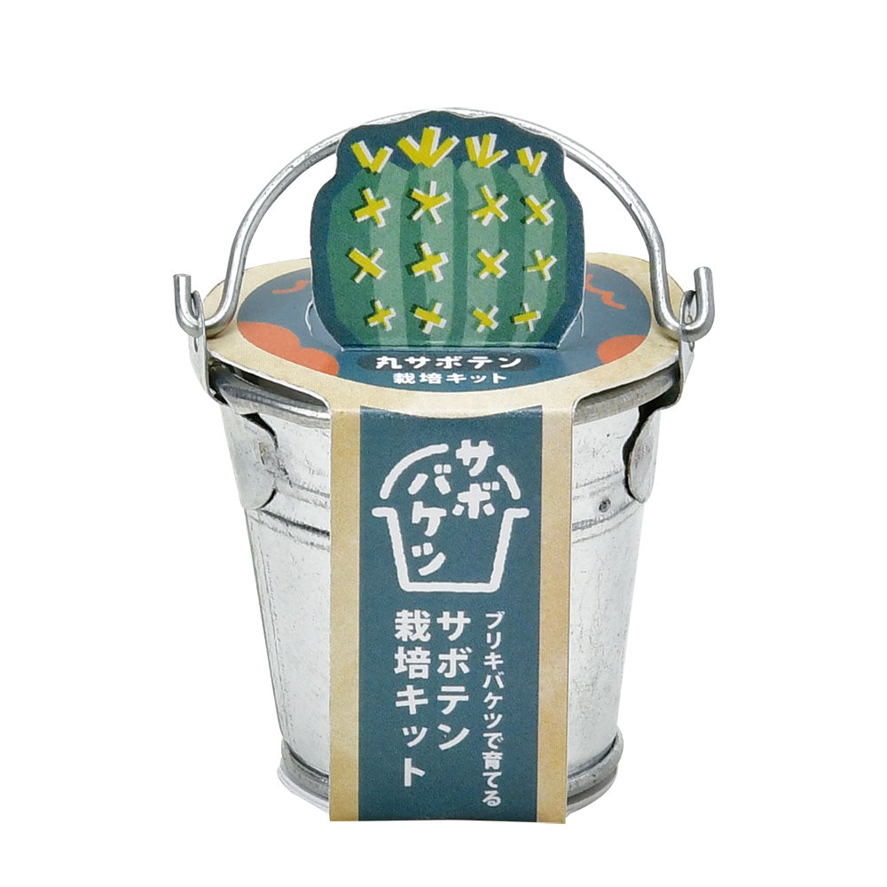 サボバケツ　栽培キット　01　丸サボテン