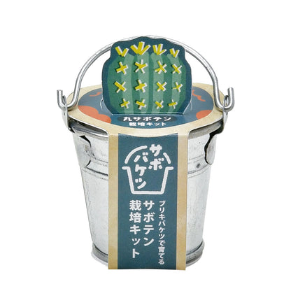 サボバケツ　栽培キット　01　丸サボテン