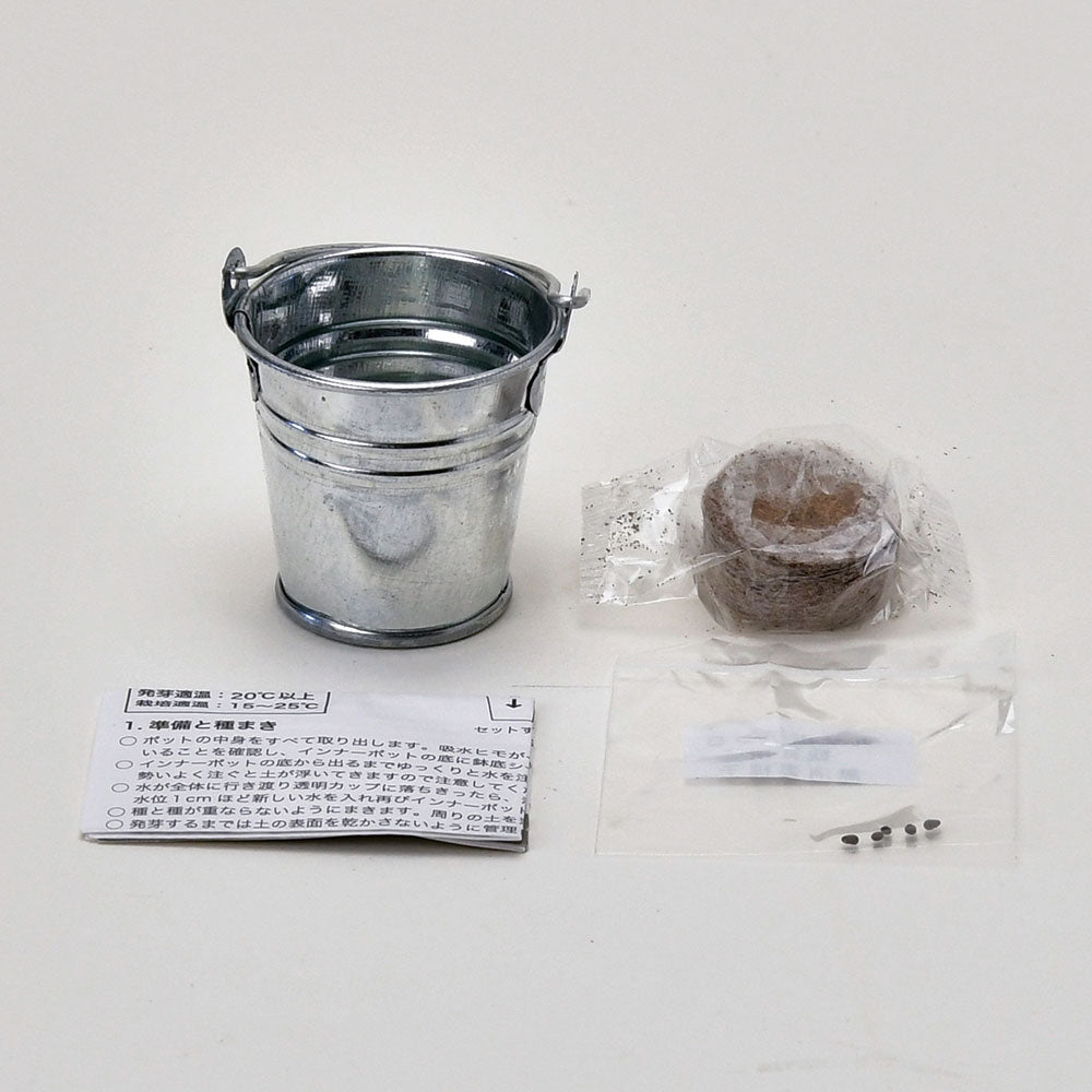サボバケツ　栽培キット　02　柱サボテン