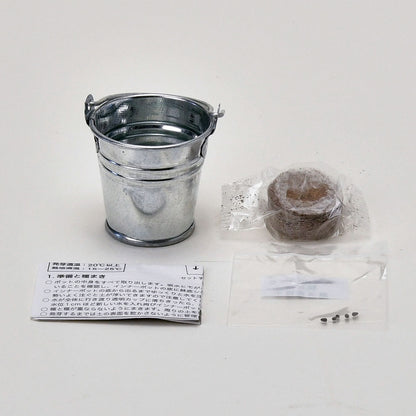 サボバケツ　栽培キット　02　柱サボテン