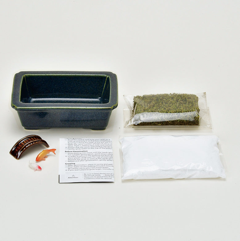 禅庭　zen garden 02　鯉