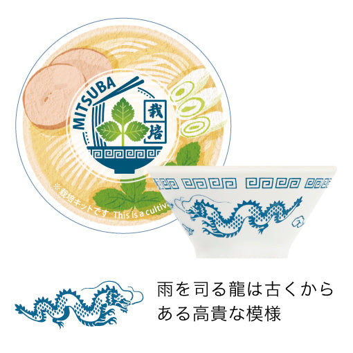 ラーメン薬味栽培キット　02　三つ葉