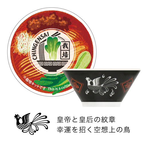 ラーメン薬味栽培キット　03　チンゲンサイ