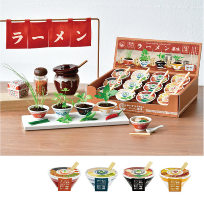 ラーメン薬味栽培キット　01　ネギ