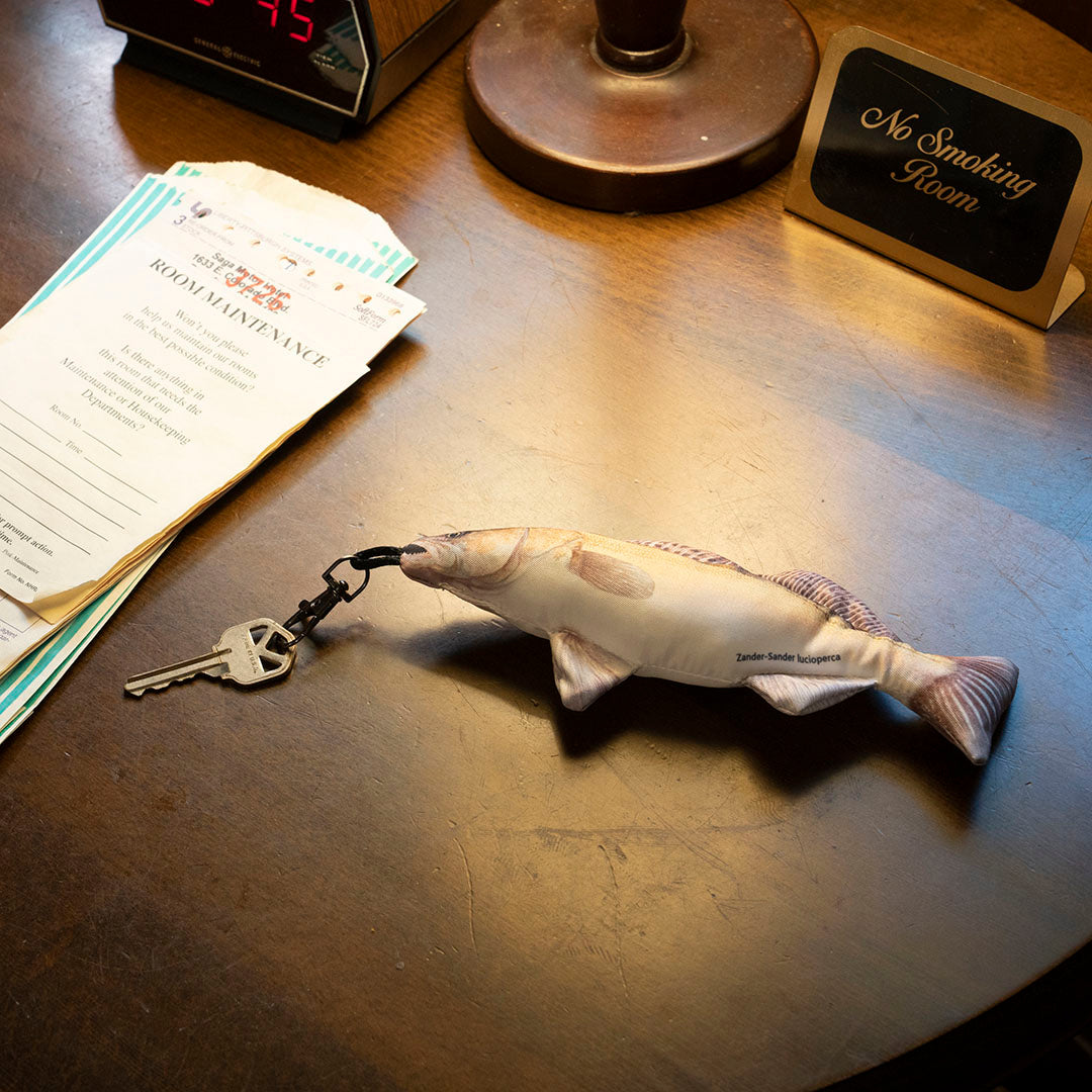 リトルフィッシーズ ザンダー